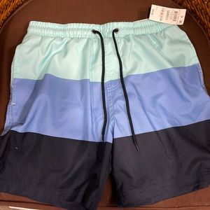 Mens Club Room Swim Trunks